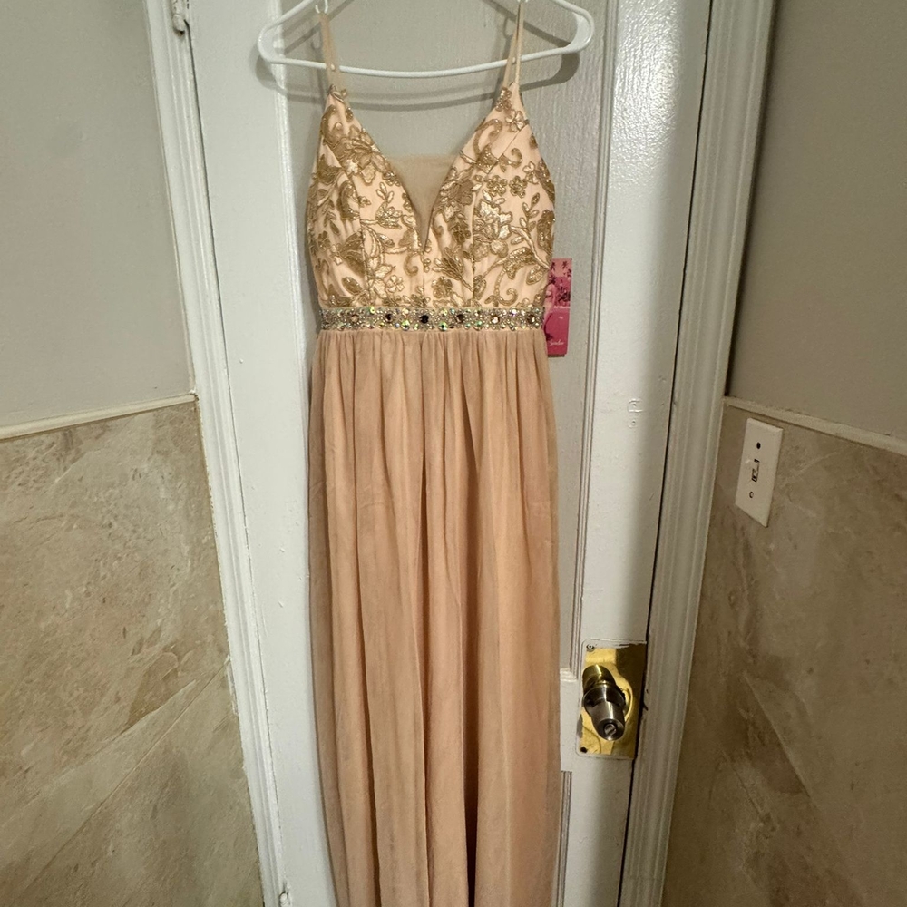 Beaded Embroidered V-Neck Blush Evening Gown